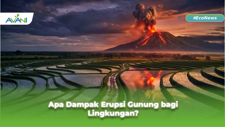 Erupsi gunung di sebuah pedesaan