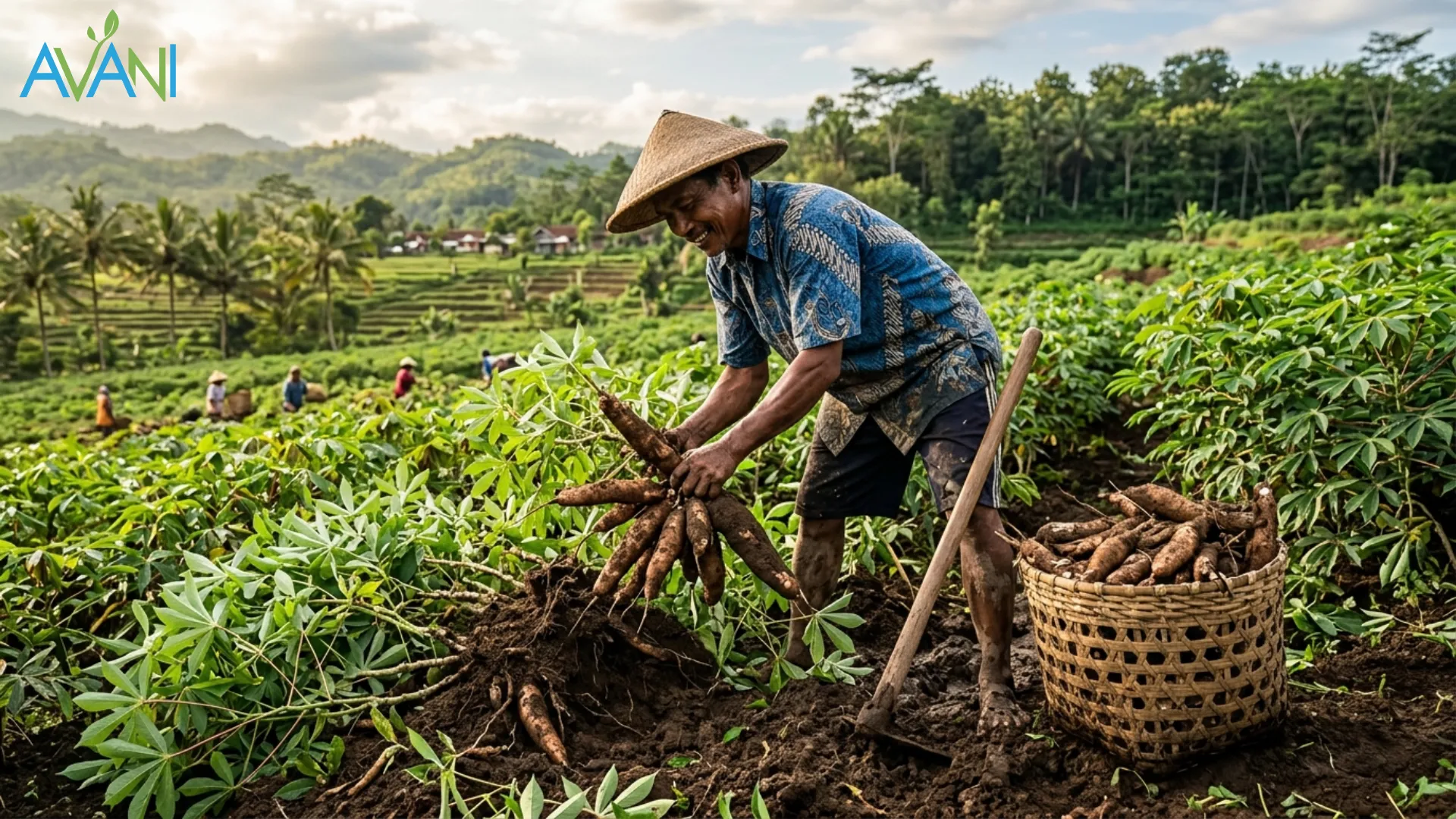 Image of raw material for cassava bags